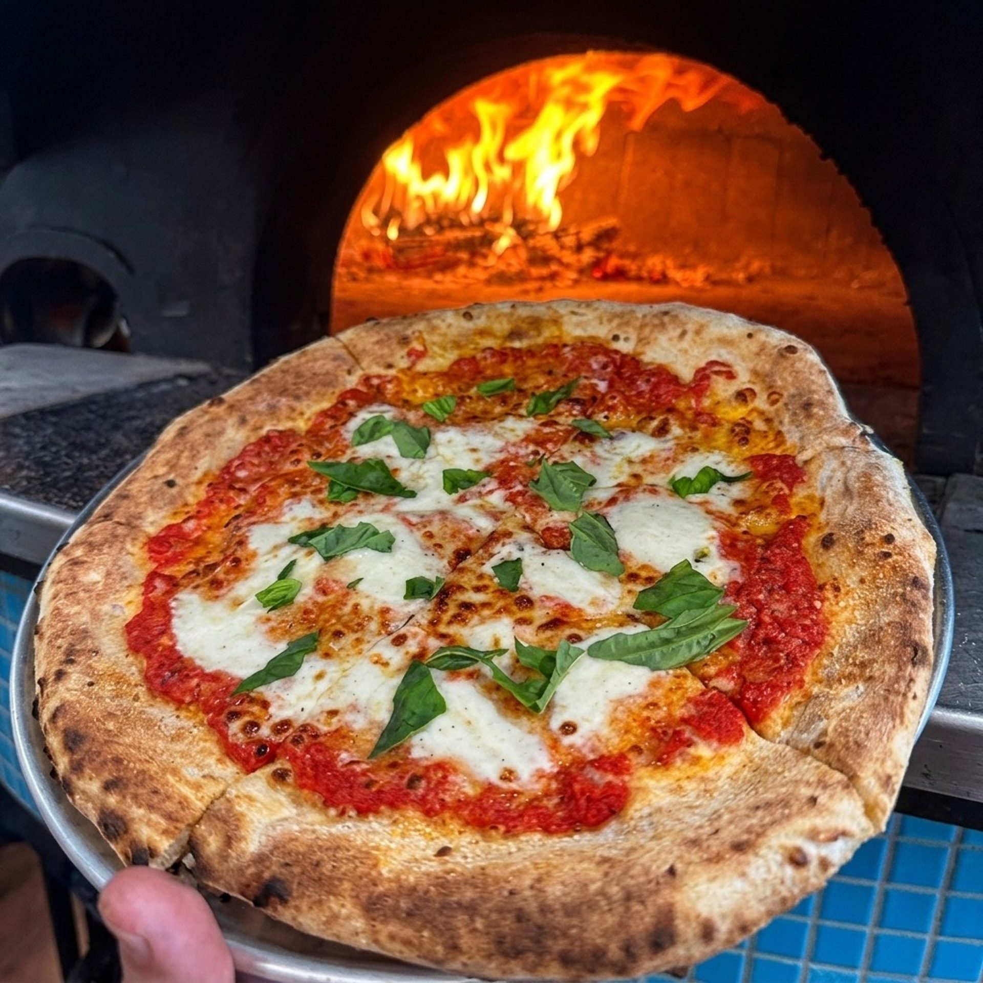 Every pie made from scratch, every single day